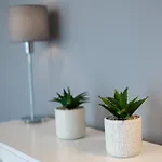 Apartamento Lm Narutowicza Kamienica Nova 2-3 *