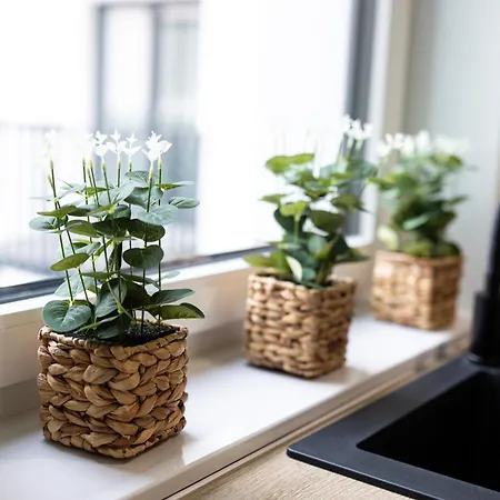 Lm Narutowicza Kamienica Nova 2-3 Apartman Szczecin