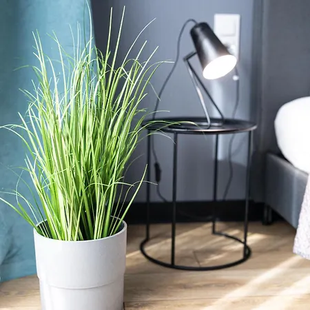 Lm Narutowicza Kamienica Nova 2-3 Szczecin