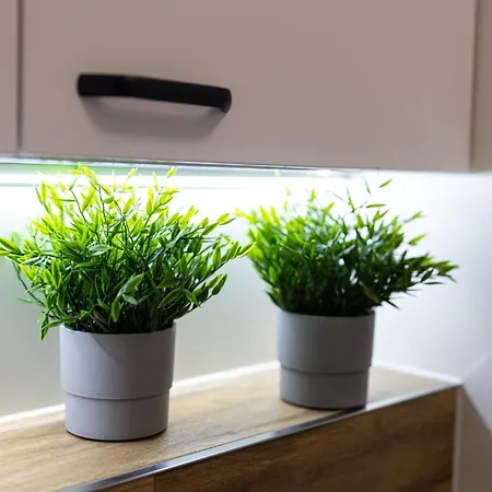 Lm Narutowicza Kamienica Nova 2-3 Appartement *