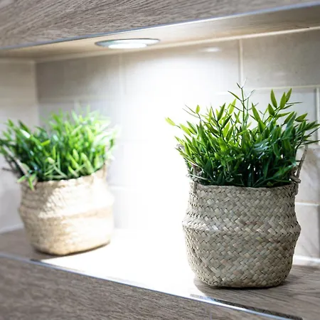 Lm Narutowicza Kamienica Nova 2-3 * Szczecin