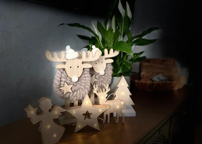 Apartament Lm Narutowicza Kamienica Nova 2-3 *