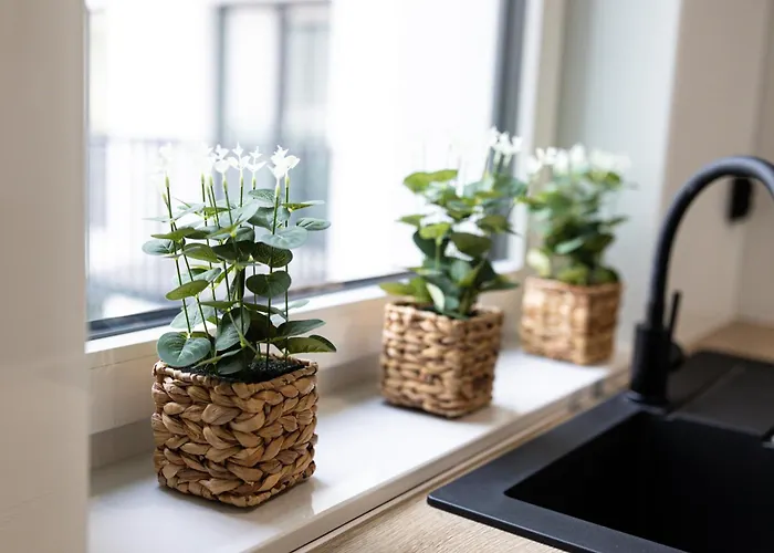 Lm Narutowicza Kamienica Nova 2-3 Apartman Szczecin