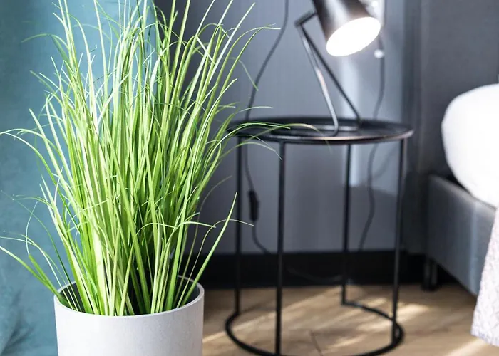 Lm Narutowicza Kamienica Nova 2-3 Szczecin