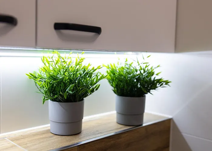 Lm Narutowicza Kamienica Nova 2-3 Apartman *