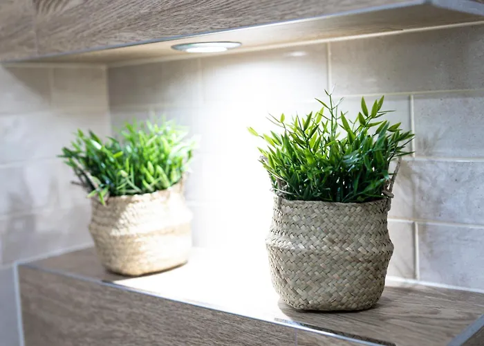 Lm Narutowicza Kamienica Nova 2-3 * Szczecin