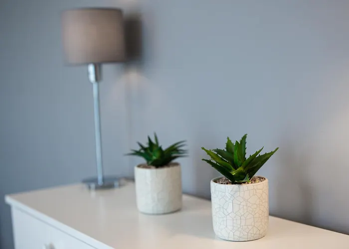 Apartament Lm Narutowicza Kamienica Nova 2-3 *