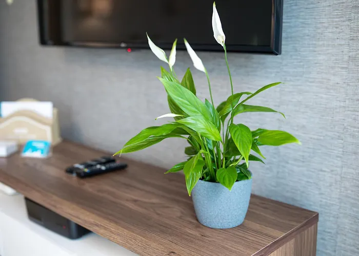 Apartament Lm Narutowicza Kamienica Nova 2-3 Szczecin