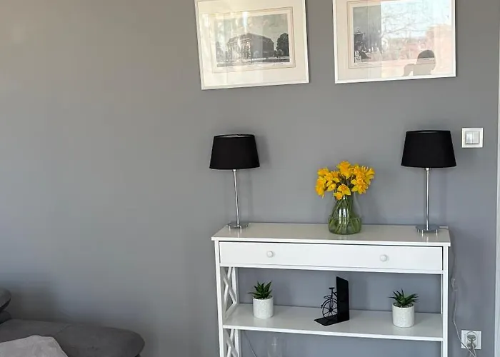 Lm Narutowicza Kamienica Nova 2-3 Apartman *